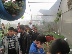 img_0159